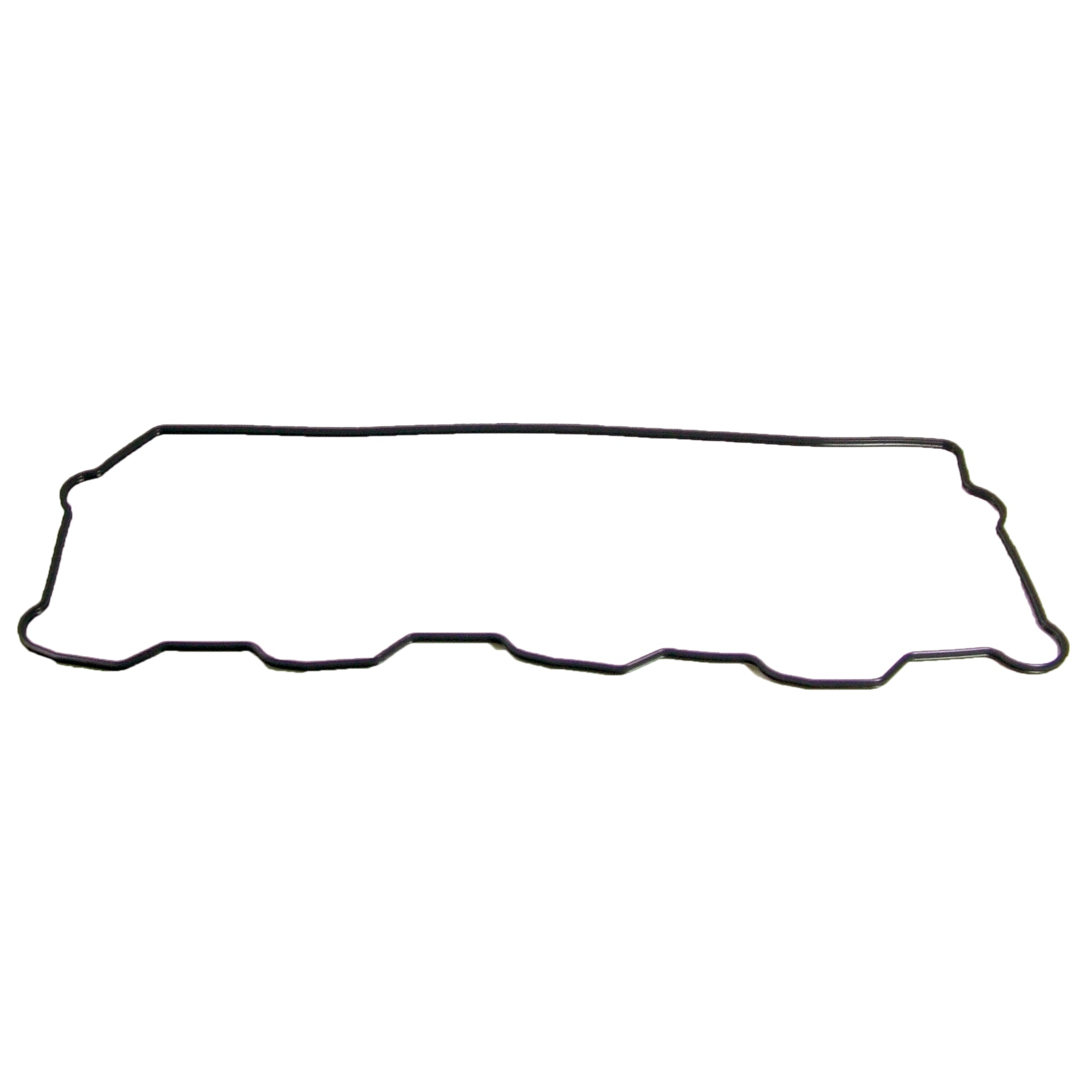 Rocker Carrier Gasket, Ford 6.0L
